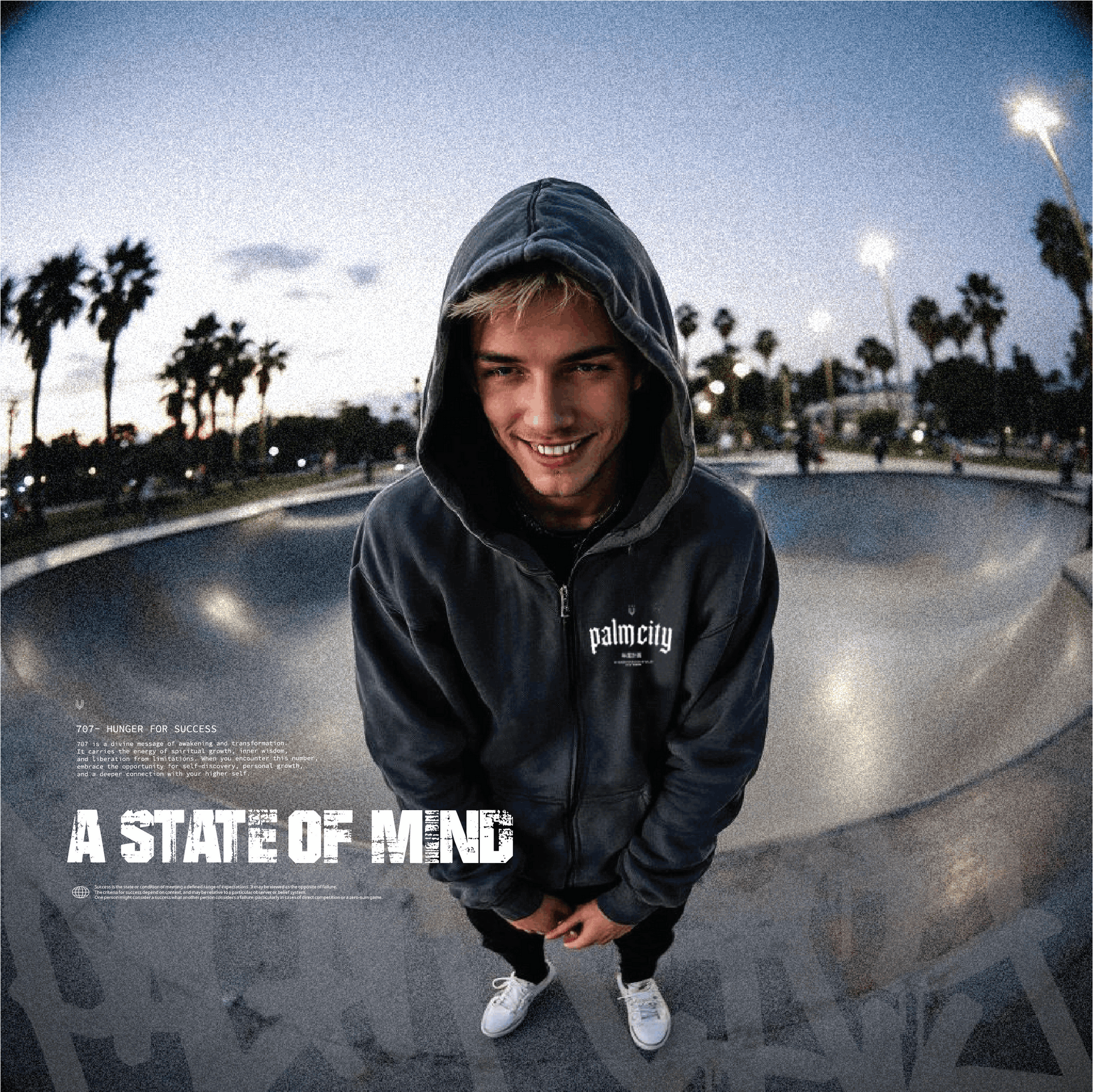 PALM CITY SKATE PARK WASHED