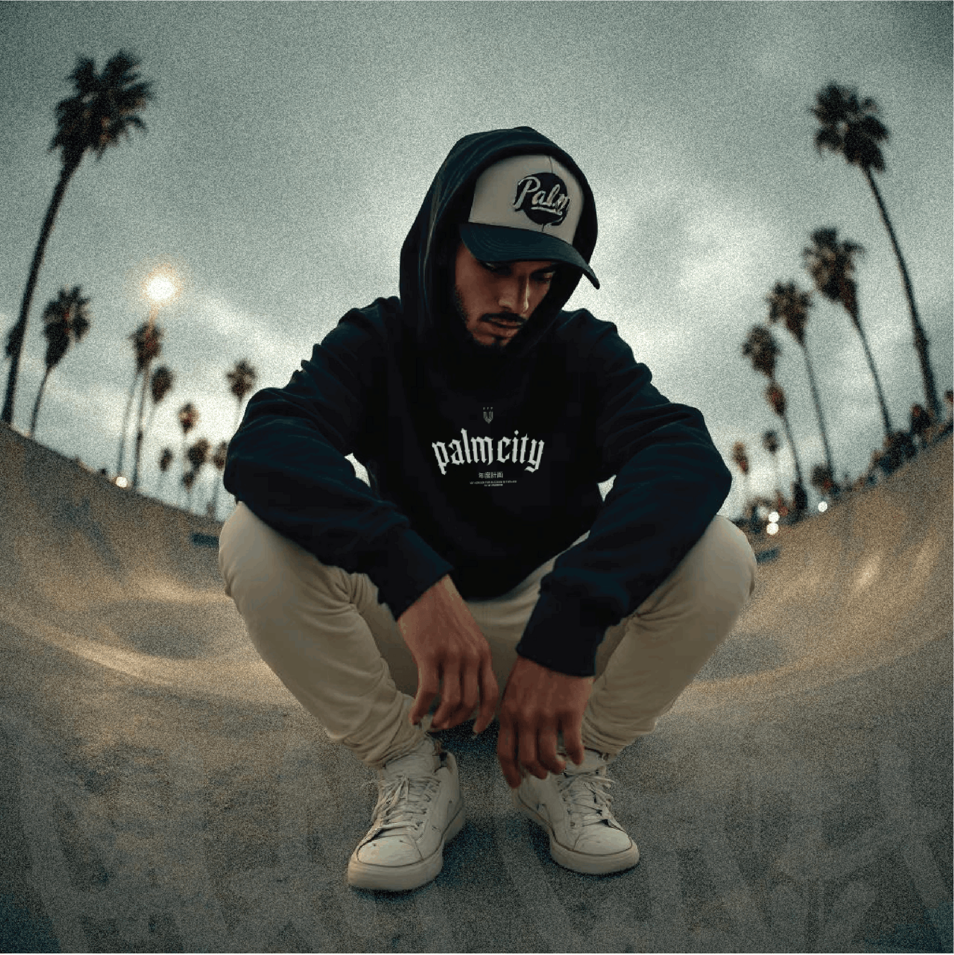 PALM CITY SKATE PARK